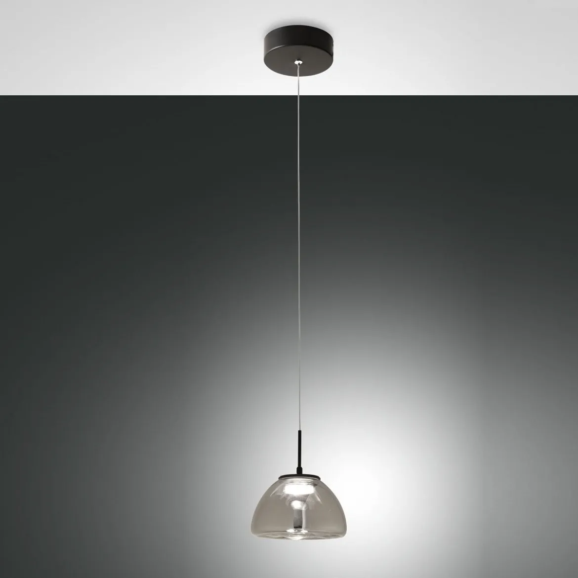 Fabas Luce 3764-41-126 LED Pendelleuchte Lucille 1-flammig grau transparent
