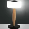 FABAS LUCE 3761-30-101 LED Tischleuchte Elea Schwarz