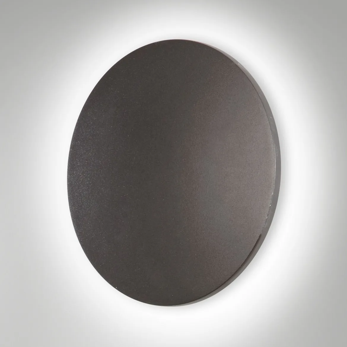 Fabas Luce 6544-22-294 LED Wandleuchte Zon 24cm dunkelgrau 3000K IP65