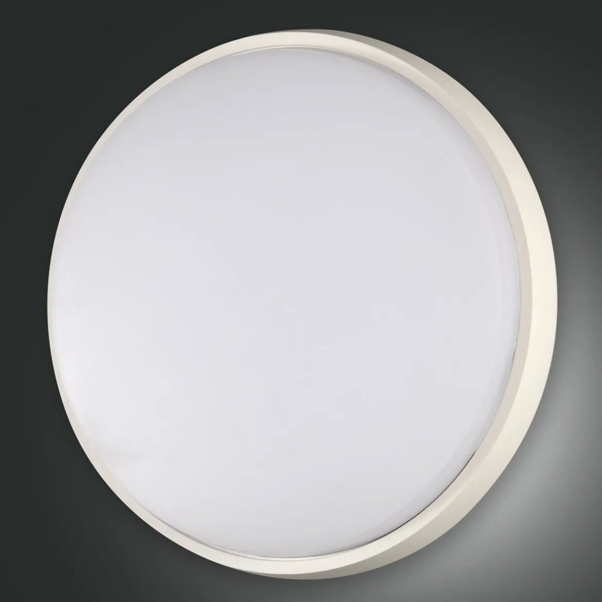 FABAS LUCE No. 3315-65-102 Deckenleuchte OLLY D.30 weiss IP54