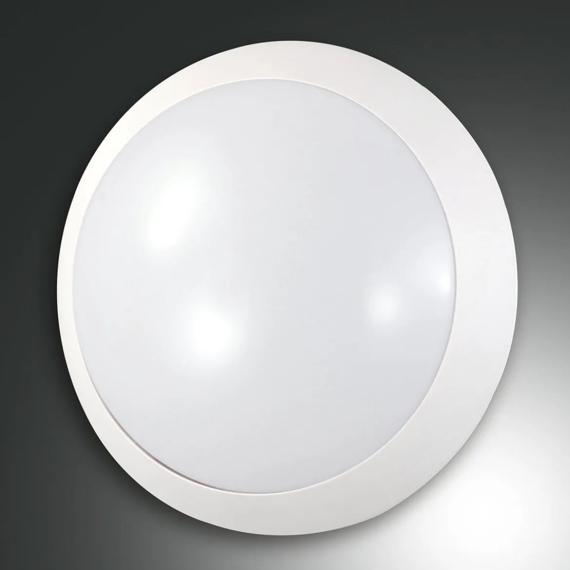 FABAS LUCE No. 3230-61-102 Deckenleuchte WIGTON D.26 weiss IP65