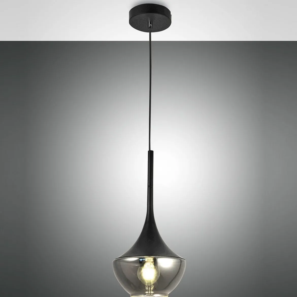 FABAS LUCE No. 3623-41-101 Pendelleuchte Apollo 1-flammig Schwarz E27
