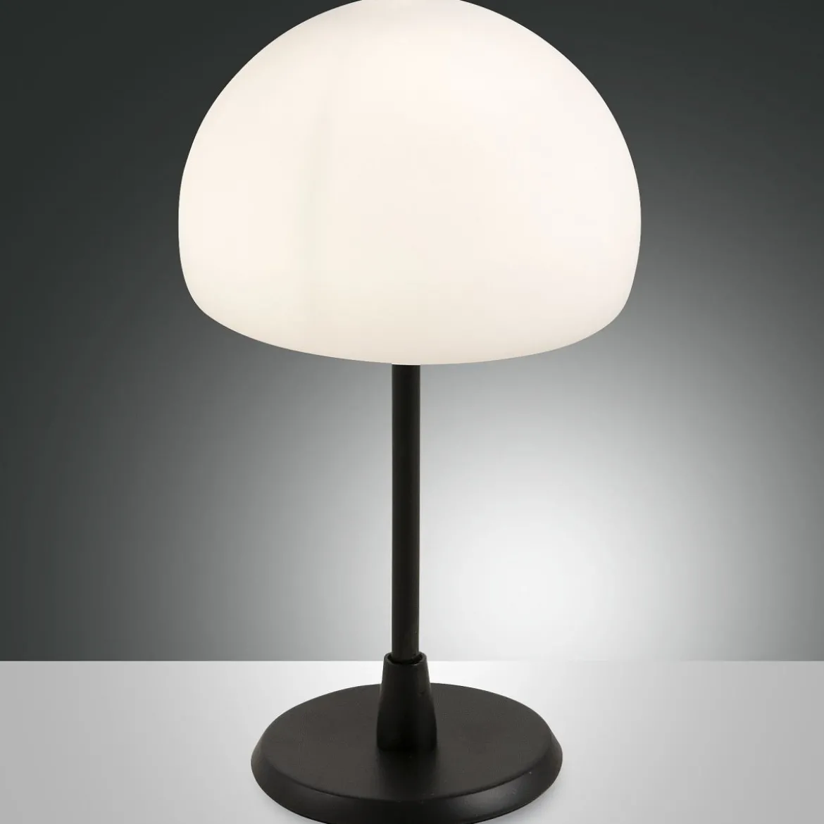 FABAS LUCE No. 3569-30-101 Tischleuchte GAIA Schwarz LED G9 Touchdimmer