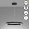 Fischer & Honsel 61049 LED Pendelleuchte Sirko sandschwarz 60cm CCT