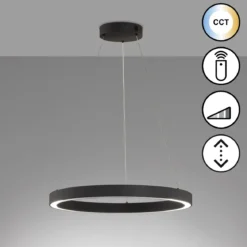 Fischer & Honsel 61049 LED Pendelleuchte Sirko sandschwarz 60cm CCT