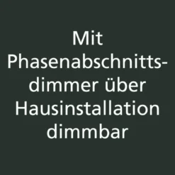 Fischer m6 micro 3 No. 13395 Pendelleuchte ohne Glas 5-flammig nickel höhenverstellbar dimmbar