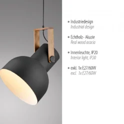 JUST LIGHT 15747-18 CUP 2.0 Pendelleuchte 30cm schwarz Holz E27