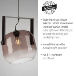 JUST LIGHT 1575-18 CUP 2.0 Pendelleuchte schwarz Rauchglas E27