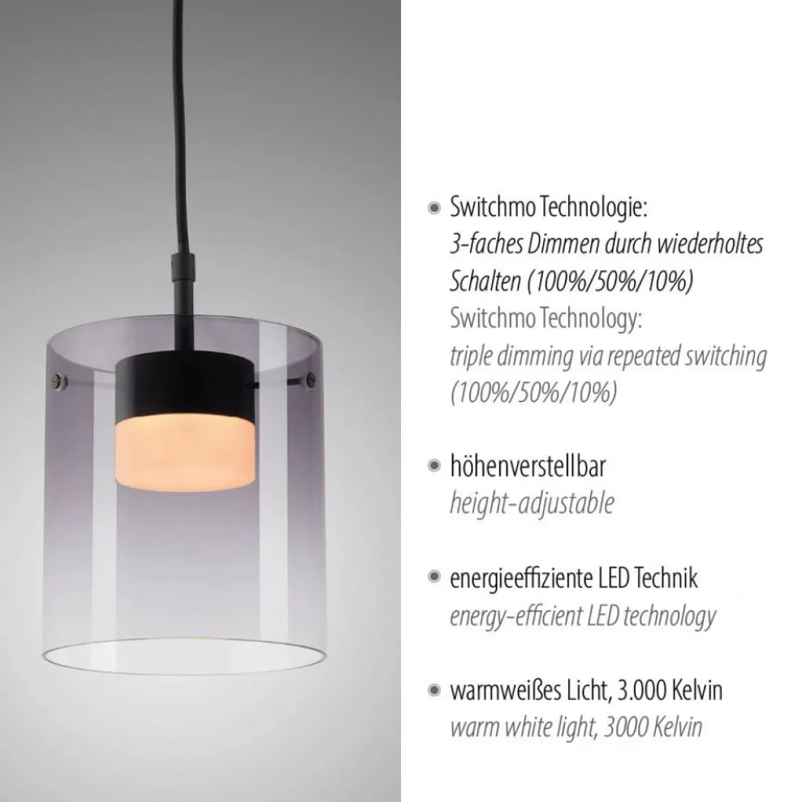 JUST LIGHT 14042-18 ELIO Pendelleuchte 1-flammig schwarz 3000K