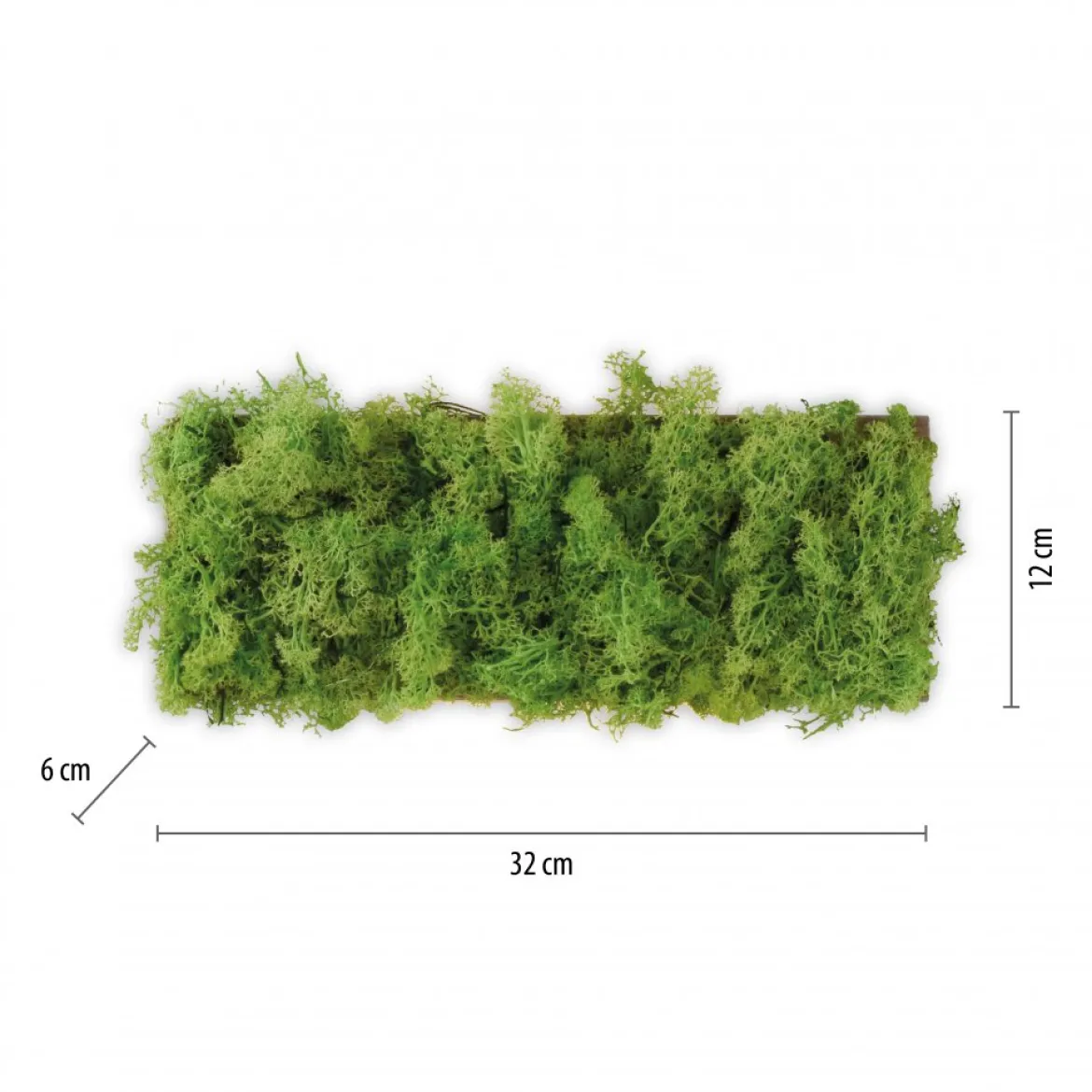 JUST LIGHT 15637-66 GREEN CARLO LED Wandleuchte moos eckig