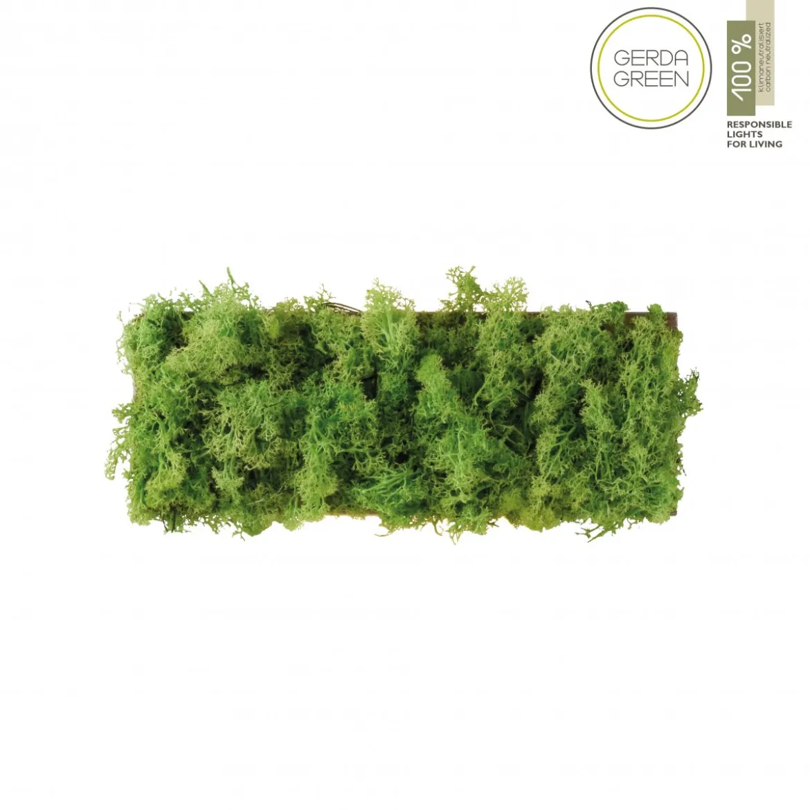 JUST LIGHT 15637-66 GREEN CARLO LED Wandleuchte moos eckig