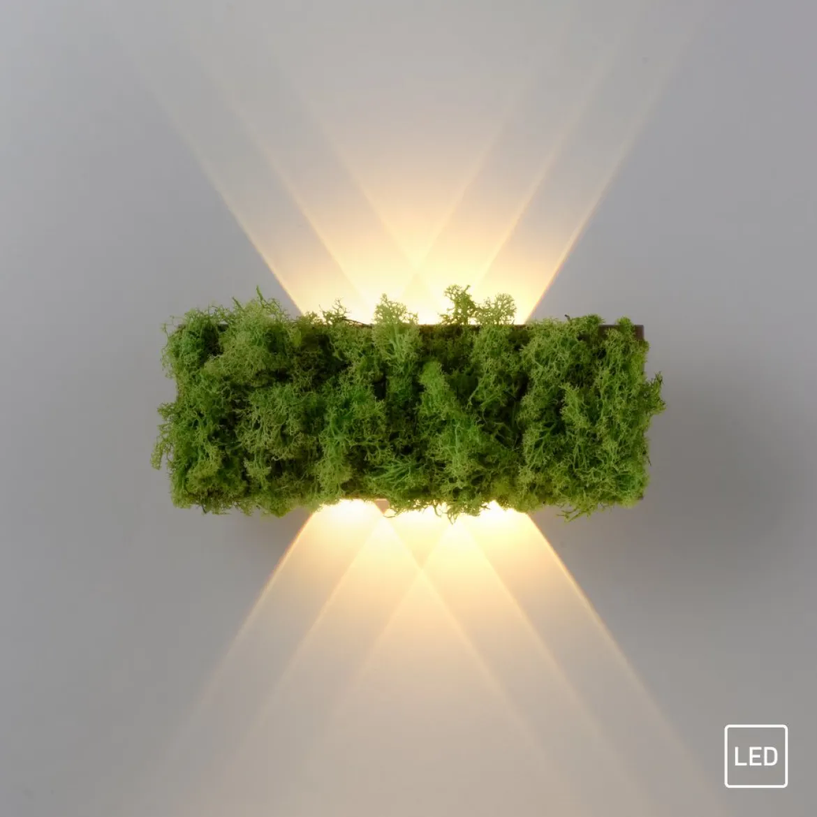 JUST LIGHT 15637-66 GREEN CARLO LED Wandleuchte moos eckig