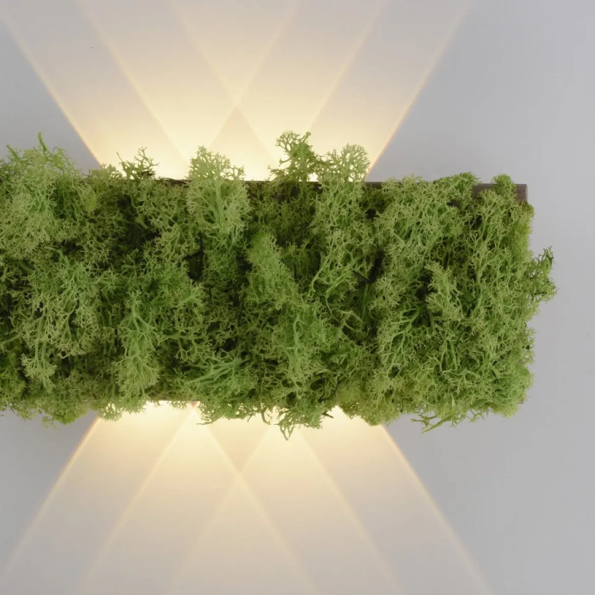 JUST LIGHT 15637-66 GREEN CARLO LED Wandleuchte moos eckig
