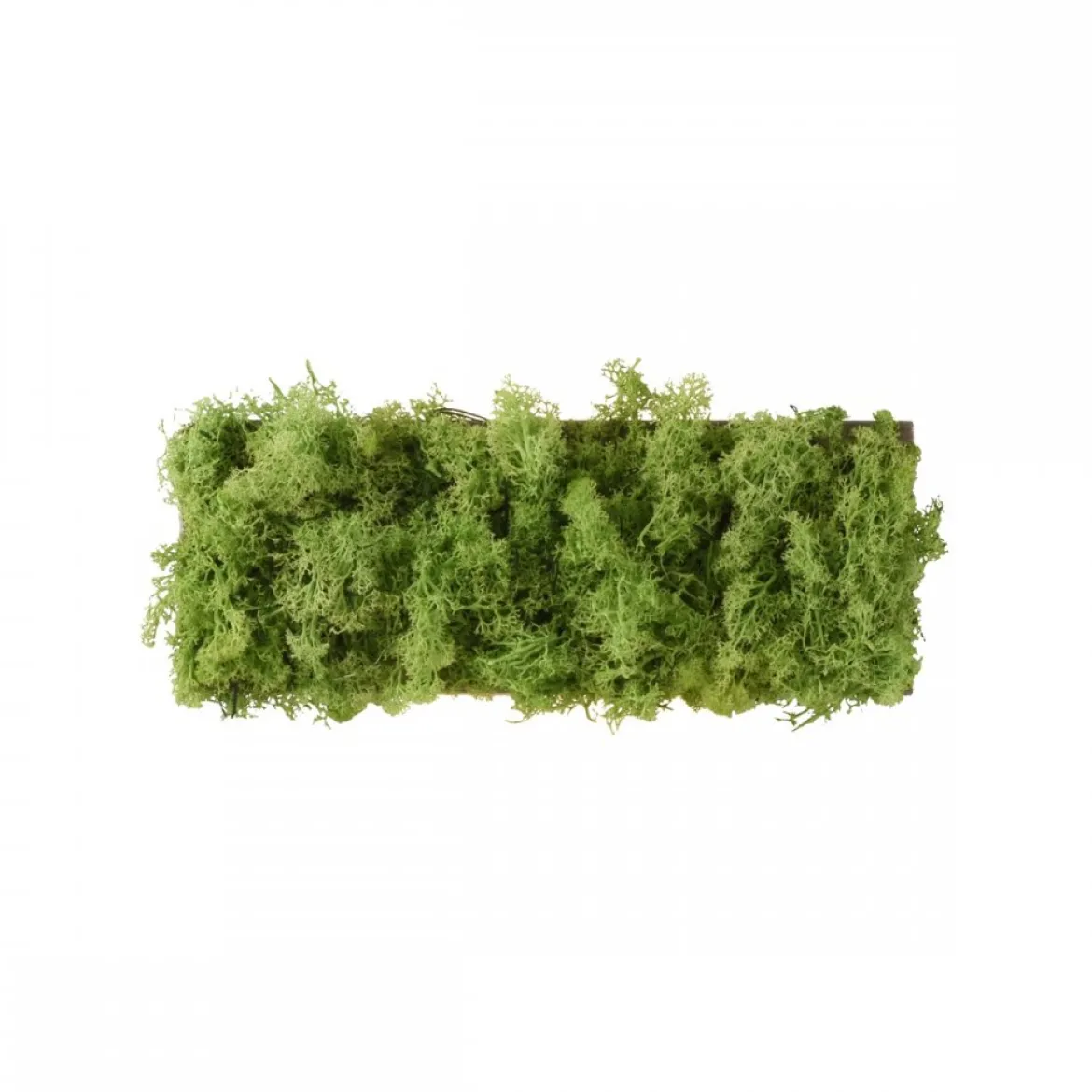 JUST LIGHT 15637-66 GREEN CARLO LED Wandleuchte moos eckig