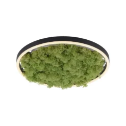 JUST LIGHT 15391-66 GREEN RITUS LED Deckenleuchte Moos 40cm