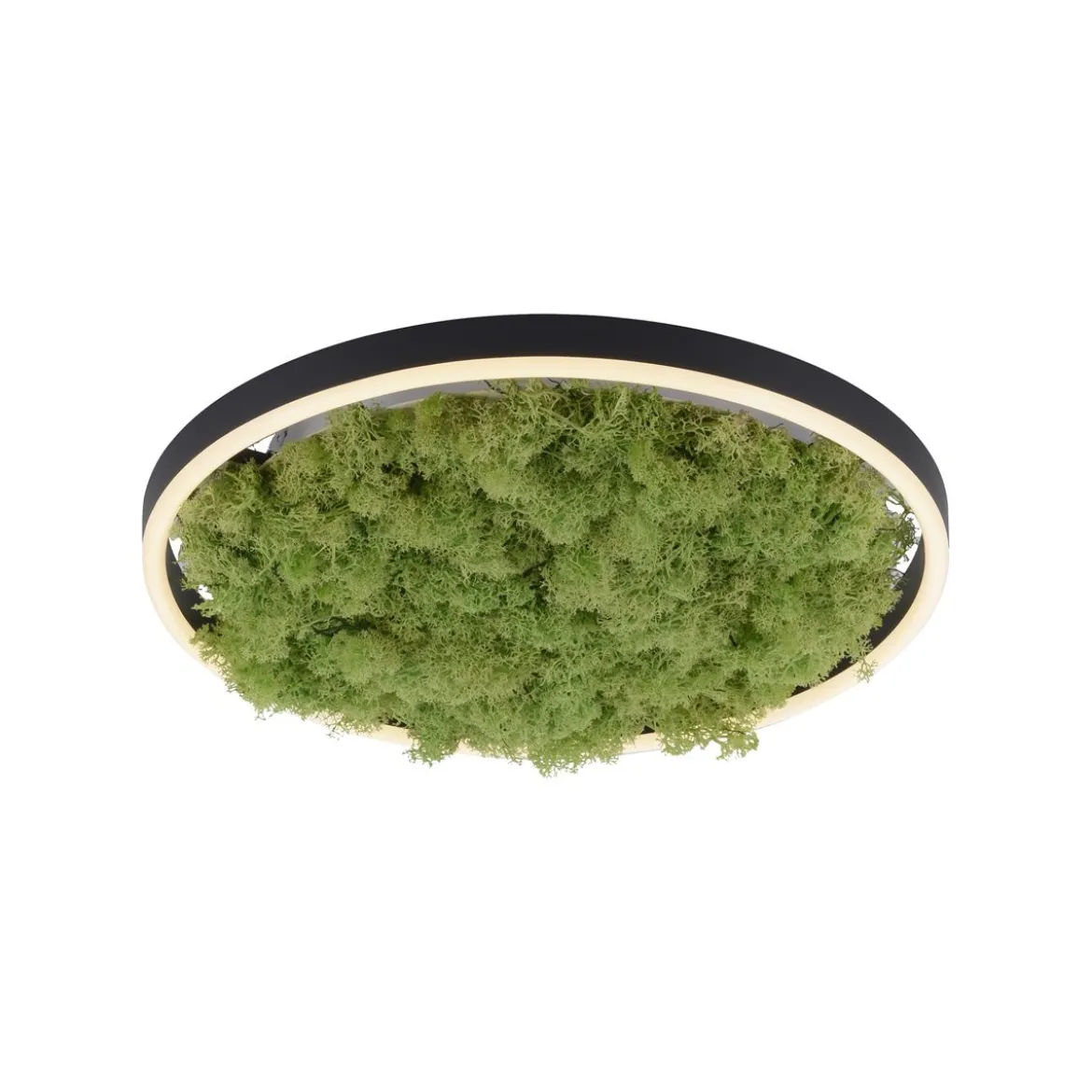 JUST LIGHT 15391-66 GREEN RITUS LED Deckenleuchte Moos 40cm