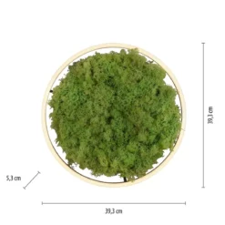JUST LIGHT 15391-66 GREEN RITUS LED Deckenleuchte Moos 40cm