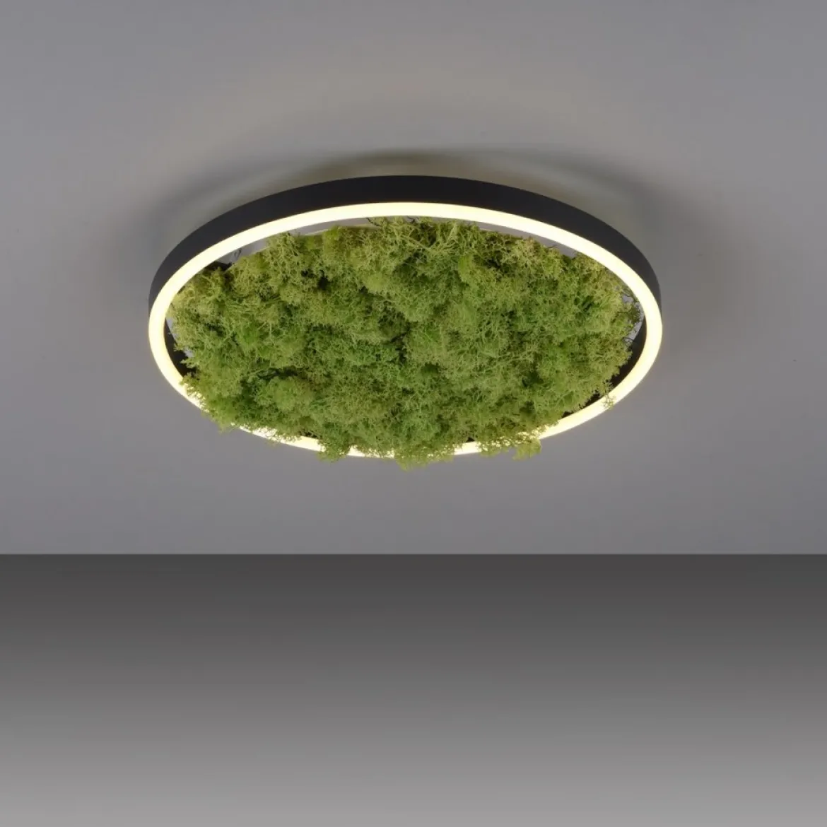 JUST LIGHT 15391-66 GREEN RITUS LED Deckenleuchte Moos 40cm