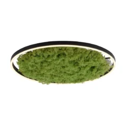 JUST LIGHT 15392-66 GREEN RITUS LED Deckenleuchte Moos 60cm