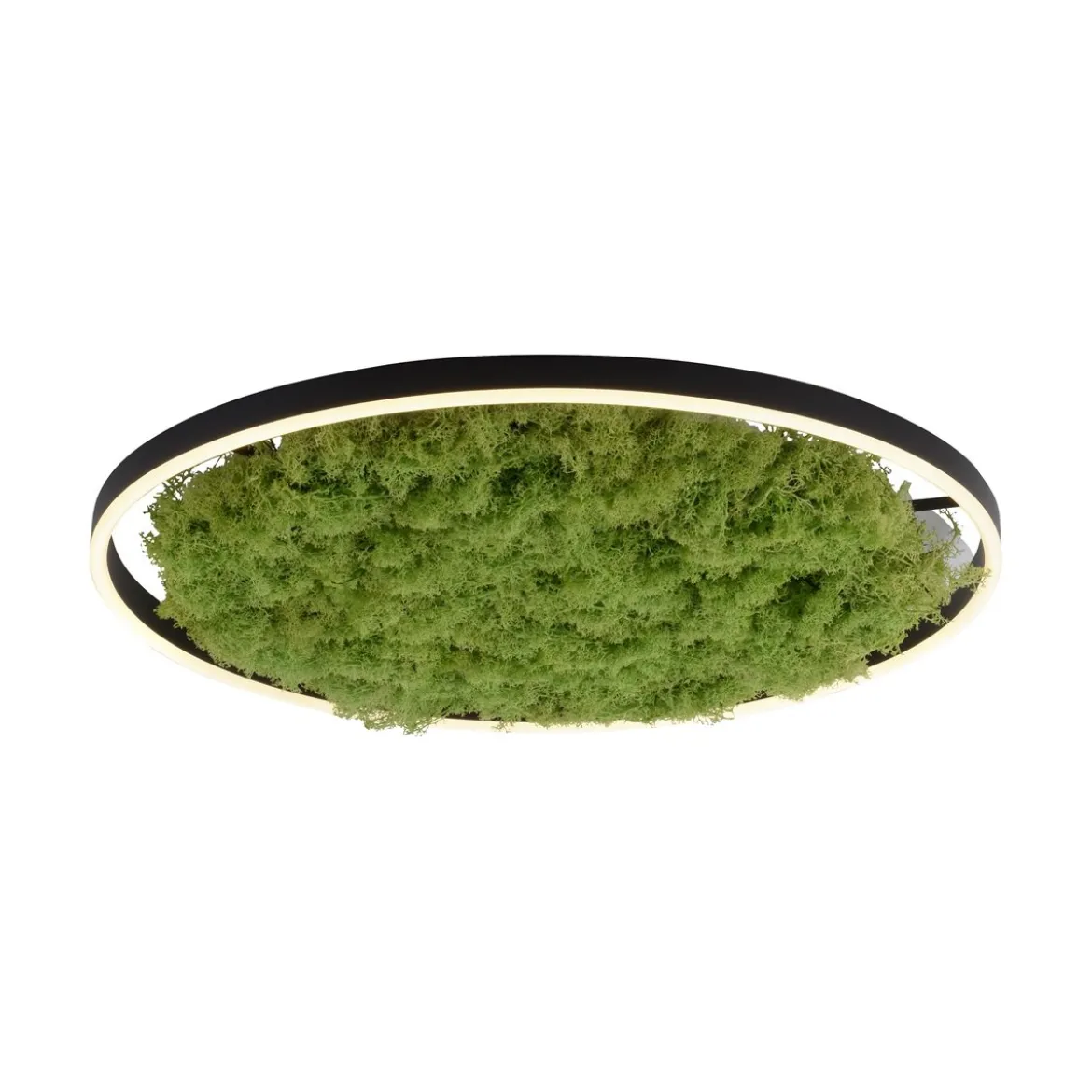 JUST LIGHT 15392-66 GREEN RITUS LED Deckenleuchte Moos 60cm