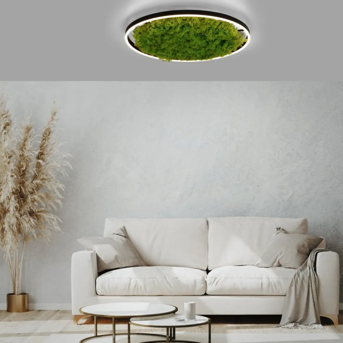 JUST LIGHT 15392-66 GREEN RITUS LED Deckenleuchte Moos 60cm