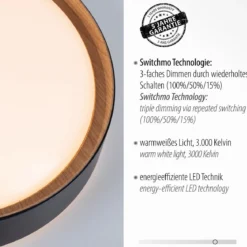 Leuchten Direkt 14347-18 EMILIA LED Deckenleuchte schwarz Holzoptik 40cm