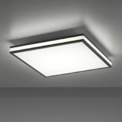 Leuchten Direkt 14110-18 MARIO BLACK LED Deckenleuchte 45x45cm RGBW