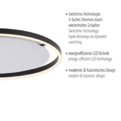 Leuchten Direkt 15392-13 RITUS LED Deckenleuchte Anthrazit rund 60cm