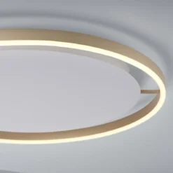Leuchten Direkt 15392-60 RITUS LED Deckenleuchte Messing Matt rund 60cm
