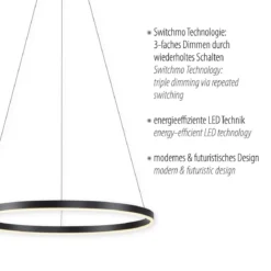 Leuchten Direkt 15394-13 RITUS LED Pendelleuchte Anthrazit rund 60cm dimmbar
