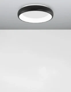 Nova Luce 8105616 ALBI LED Deckenleuchte 1-flammig 3000K Schwarz 41cm