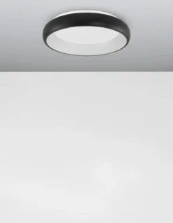 Nova Luce 8105616 ALBI LED Deckenleuchte 1-flammig 3000K Schwarz 41cm