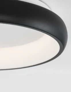 Nova Luce 8105616 ALBI LED Deckenleuchte 1-flammig 3000K Schwarz 41cm