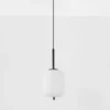 Nova Luce 9624075 LATO Pendelleuchte 16,5cm Schwarz Opal E14