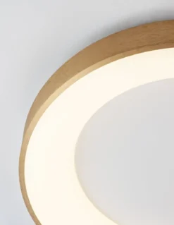 Nova Luce 9353832 RANDO THIN LED Deckenleuchte 38cm 3000K Gold gebürstet dimmbar