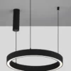 Nova Luce 9558601 STING LED Pendelleuchte 60cm 3000K Schwarz dimmbar