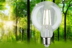 Paulmann 29127 Eco-Line Filament 230V LED Globe G95 E27 840lm 4000K klar