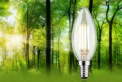Paulmann 29201 Eco-Line Filament 230V LED Kerze E14 840lm 3000K Klar