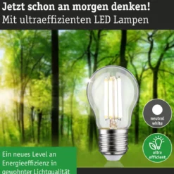 Paulmann 29214 Eco-Line Filament 230V LED Tropfen E27 840lm 4W 4000K Klar
