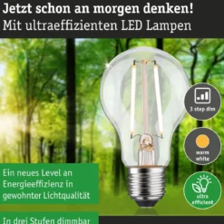 Paulmann 29250 Eco-Line Filament 230V LED Birne E27 470lm 3000K 3-Step-Dim Klar