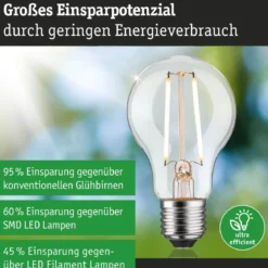 Paulmann 29250 Eco-Line Filament 230V LED Birne E27 470lm 3000K 3-Step-Dim Klar