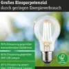 Paulmann 29251 Eco-Line Filament 230V LED Birne E27 806lm 3000K 3-Step-Dim Klar