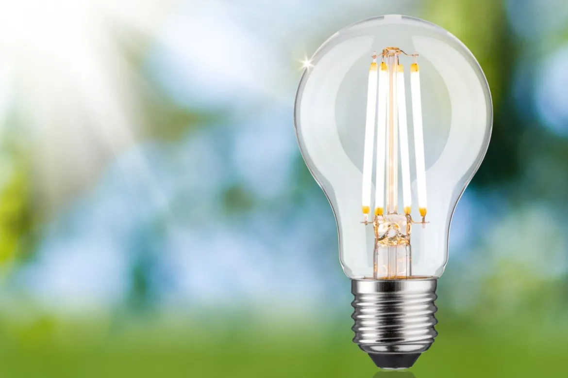 Paulmann 29251 Eco-Line Filament 230V LED Birne E27 806lm 3000K 3-Step-Dim Klar