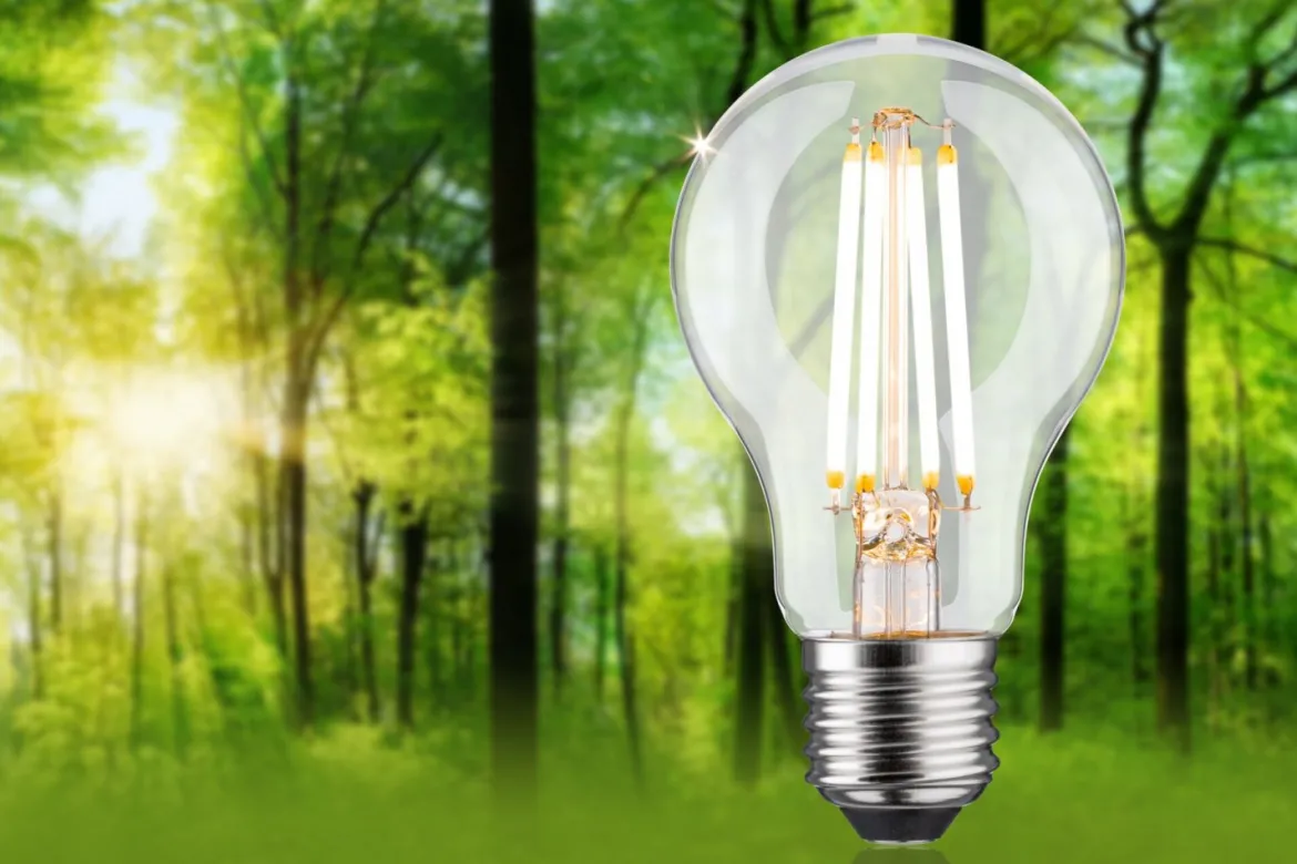 Paulmann 29251 Eco-Line Filament 230V LED Birne E27 806lm 3000K 3-Step-Dim Klar