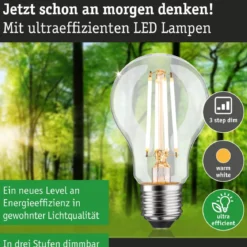 Paulmann 29253 Eco-Line Filament 230V LED Birne E27 1521lm 3000K 3-Step-Dim Klar