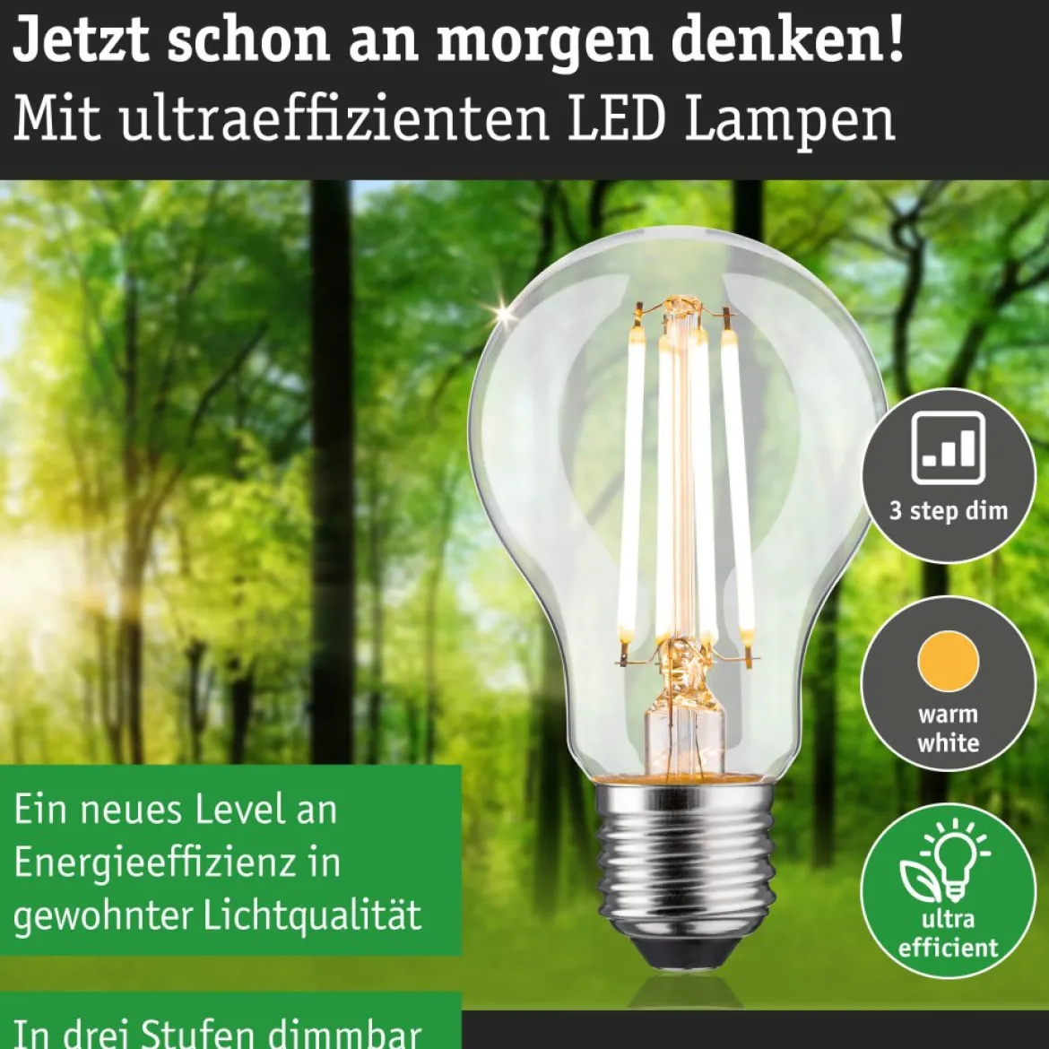 Paulmann 29253 Eco-Line Filament 230V LED Birne E27 1521lm 3000K 3-Step-Dim Klar