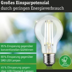 Paulmann 29254 Eco-Line Filament 230V LED Birne E27 806lm 4000K 3-Step-Dim Klar
