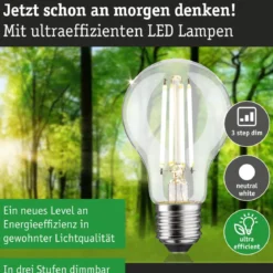 Paulmann 29254 Eco-Line Filament 230V LED Birne E27 806lm 4000K 3-Step-Dim Klar