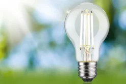 Paulmann 29254 Eco-Line Filament 230V LED Birne E27 806lm 4000K 3-Step-Dim Klar