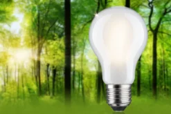 Paulmann 29255 Eco-Line Filament 230V LED Birne E27 470lm 3000K 3-Step-Dim Matt